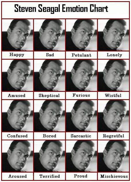 pictures_seagal_emotion_chart.jpg
